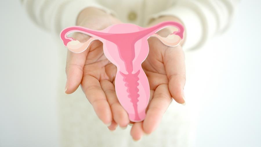 Preventie van tubo-ovarieel carcinoom: nut van een opportunistische salpingectomie