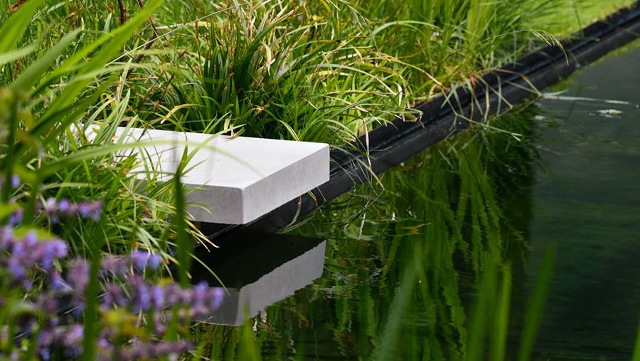 De opmars van biologisch zwemwater