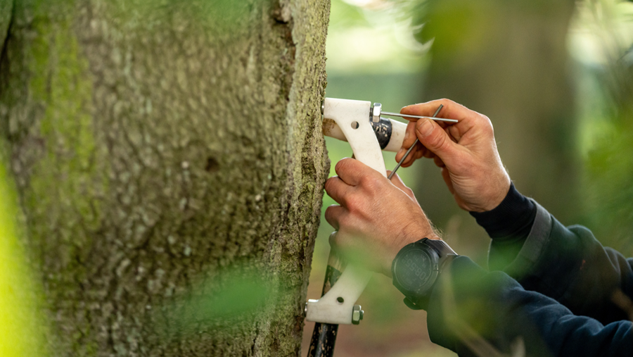 À partir de quand un arbre abîmé représente-t-il un risque?