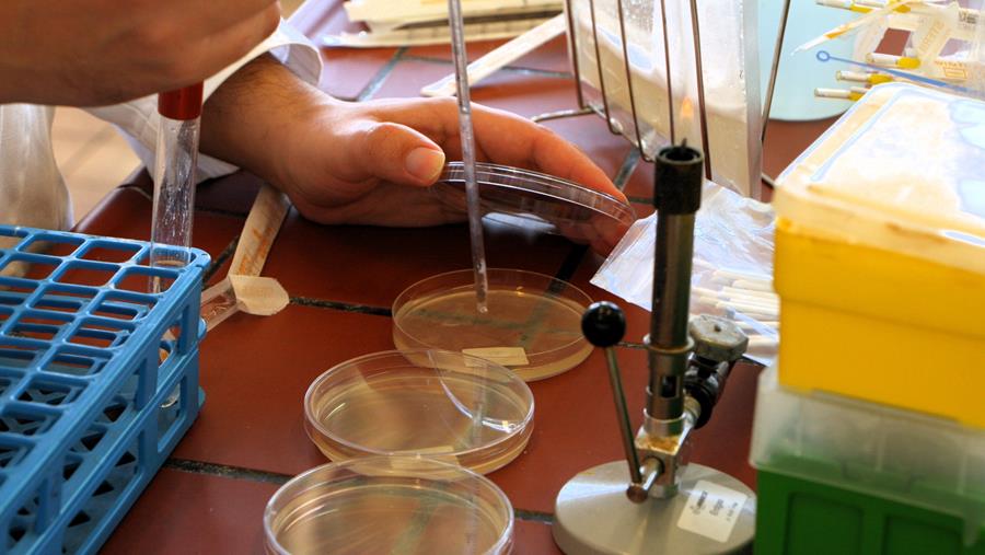 Hoe de houdbaarheid handhaven bij mono-, biodegradeerbare en dunnere verpakkingsmaterialen?