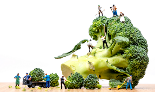 Gezond Leven lanceert nieuwe sensibiliseringscampagne