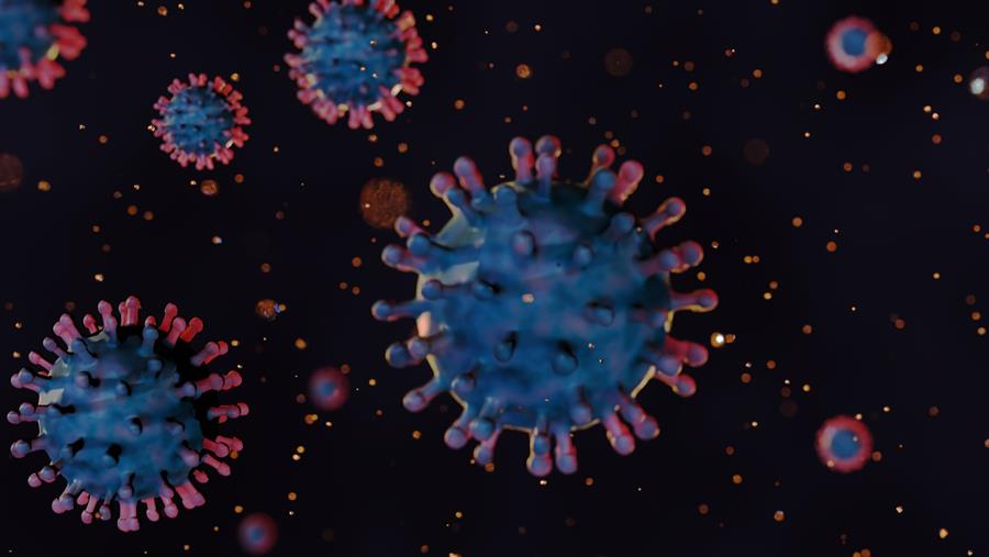 Besmetting met chikungunyavirus in Frankrijk