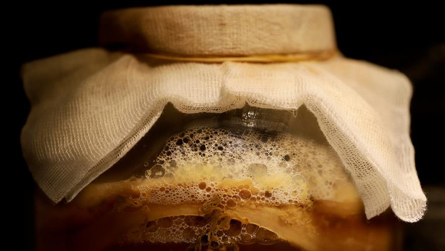 Back to basics met fermenteren