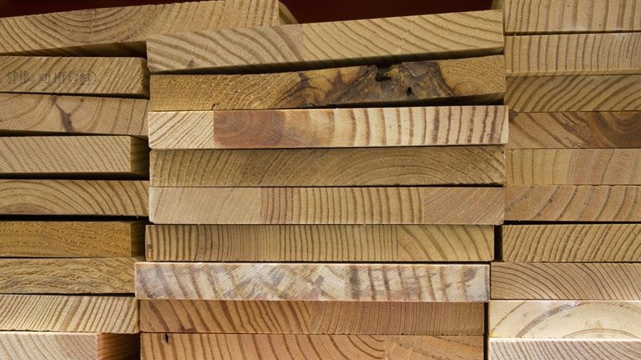 Houtaantasting: schimmels en insecten