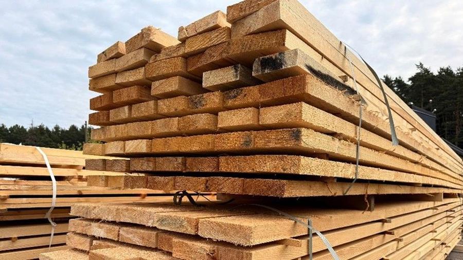 Les règles européennes en matière de déforestation bénéficient d'un sursis